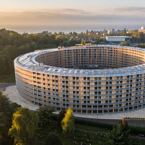 Sostenibilidad de Forster 