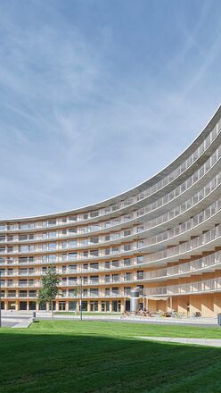 Sostenibilidad de Forster 